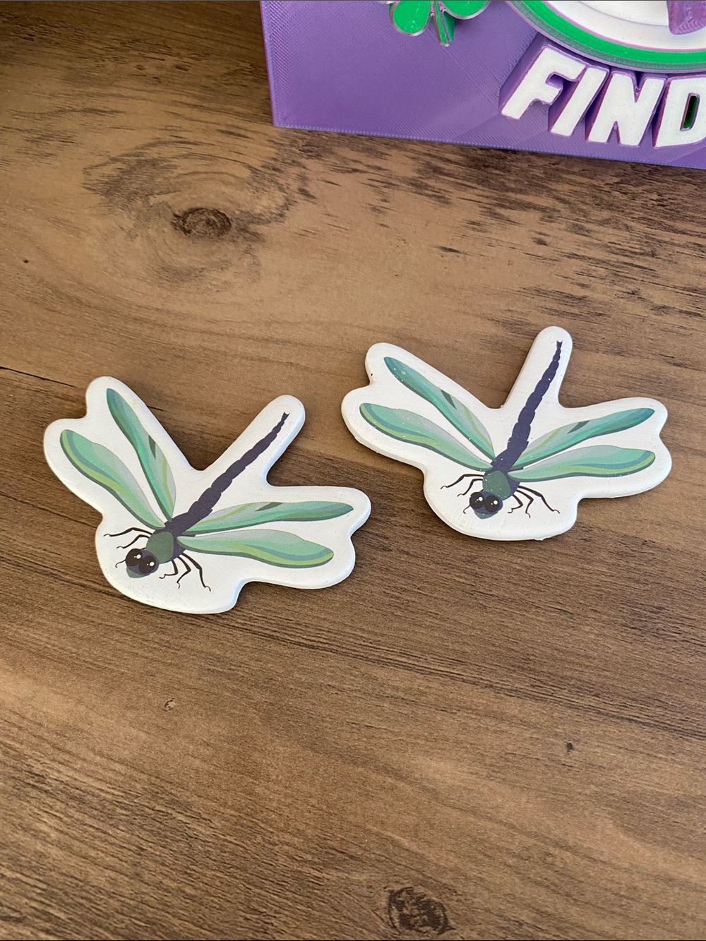 Dragonfly Decorative Magnets - Set of 2